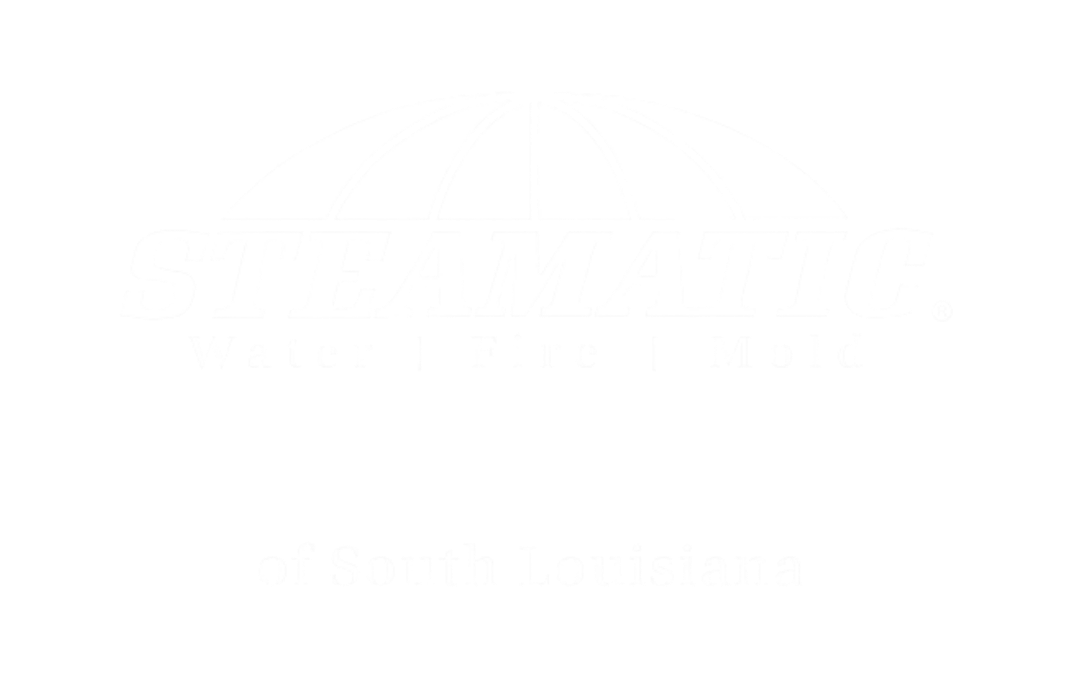 Steamatic Logo - White