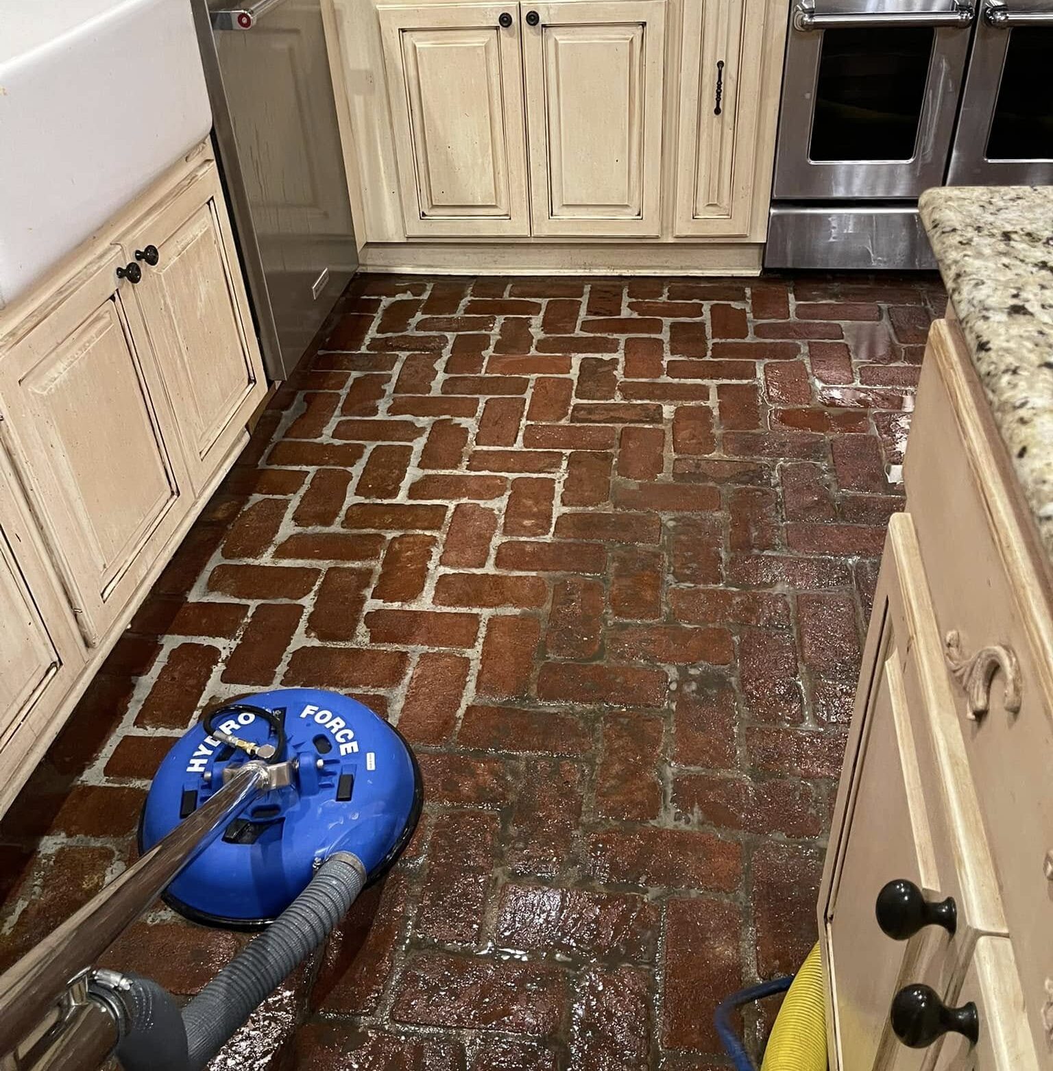 Mold Remediation